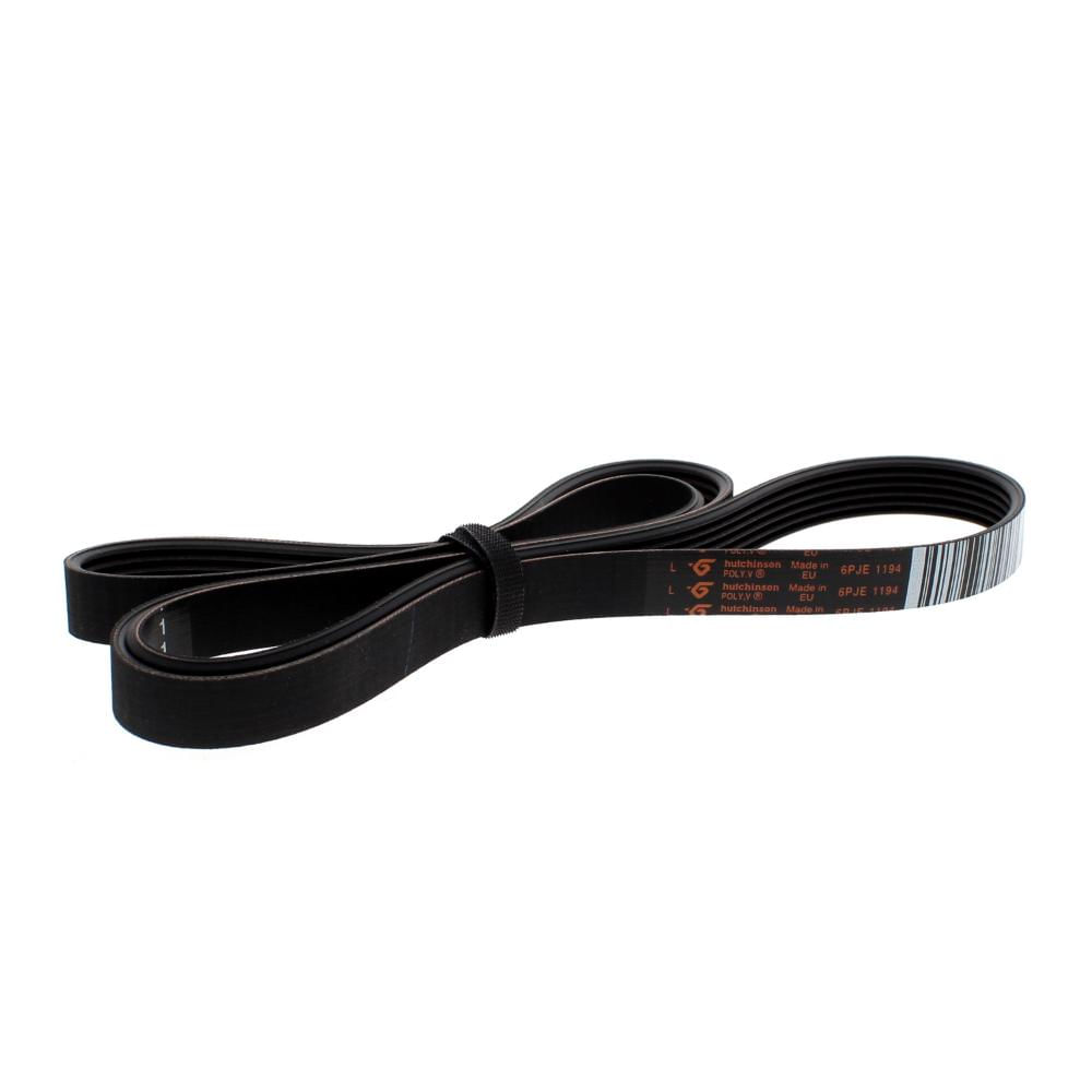 Cinghia Biothane 25 Mm - Fuselli Sport Bergamo - Foto 1