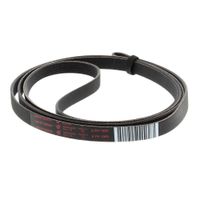 Belt Pv 1965 H8 J00286658