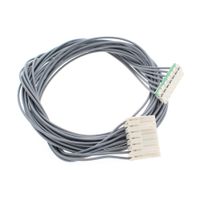 Cablaggio Timer-motore J00303081