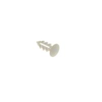 Spina Bianco J00379960