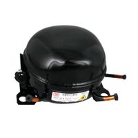 Compressore (vntz165m 220v)(inverter) J03018447
