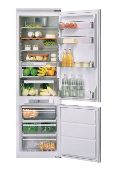 Qual è la differenza tra un frigorifero e un congelatore